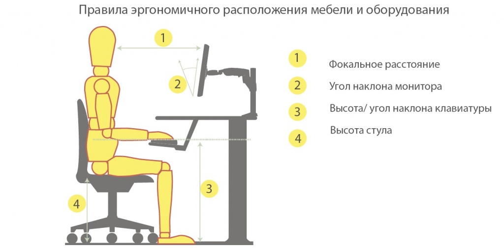 Схема эргономичного расположения мебели и оборудования